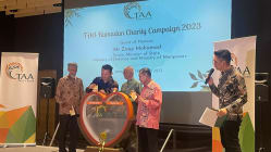Related article image