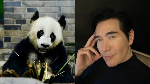 认养多年的大熊猫逝世　费翔发文追悼