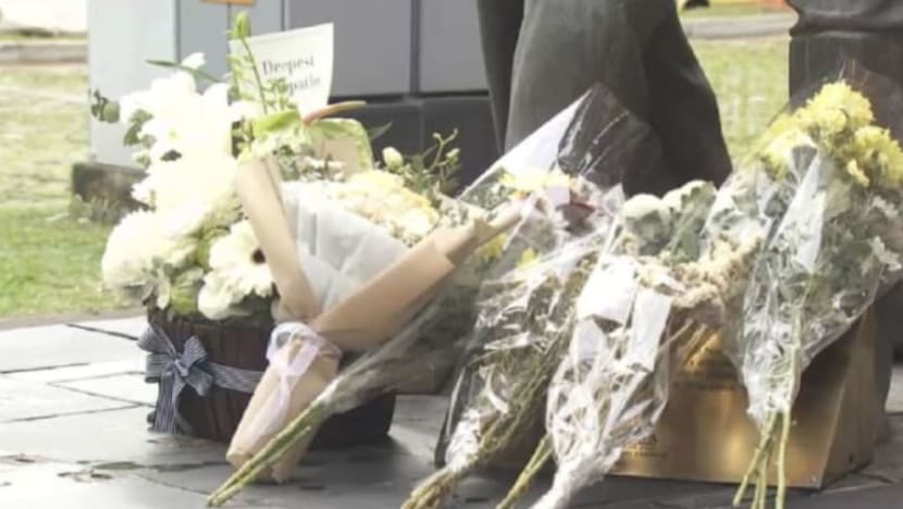 NSF main peranan penting lindungi SG, kata Dr Faishal Ibrahim susuli pemergian CPL Edward Go