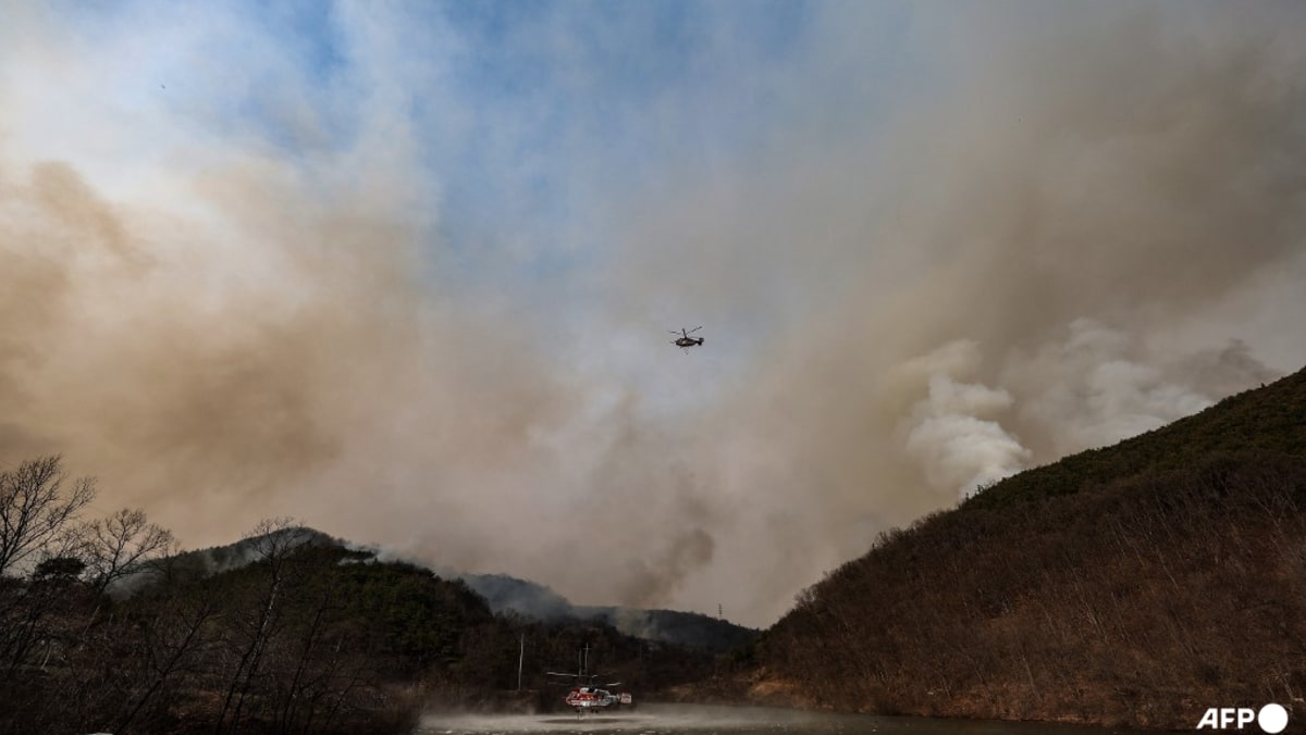 South Korea authorities deploy choppers, troops to battle wildfire South Korea authorities deploy choppers, troops to battle wildfire