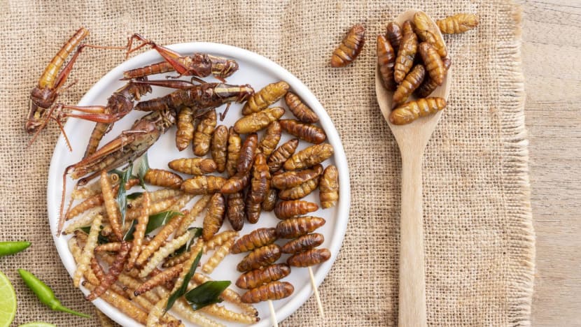 Grasshoppers and superworms among 16 insect species approved as food in Singapore Grasshoppers and superworms among 16 insect species approved as food in Singapore