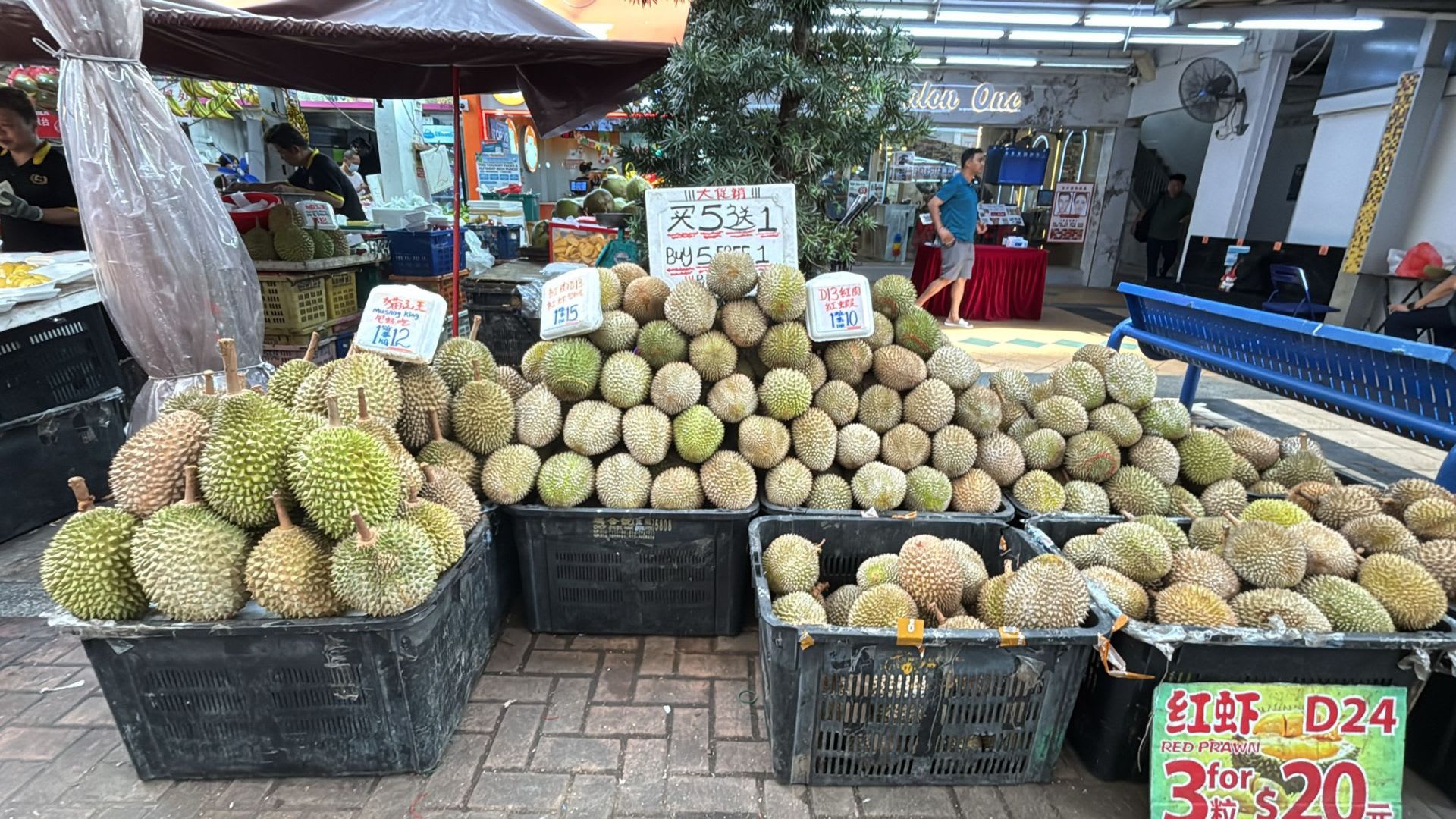 12月榴梿大丰收本地猫山王售价低至每公斤12元- 8world