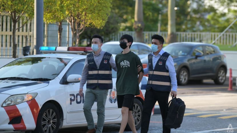 Singaporean man who helped Thai wife in S$25 million Tradenation luxury goods scam jailed