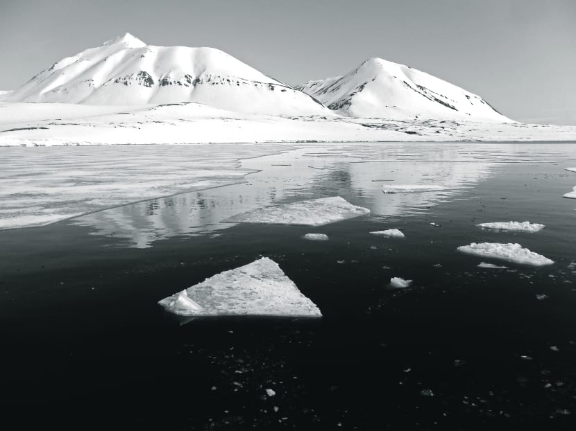 According to oft-cited estimates from the US Geological Survey, up to 30 per cent of the world’s undiscovered gas and 13 per cent of undiscovered oil deposits lie in the Arctic region. Photo: Reuters