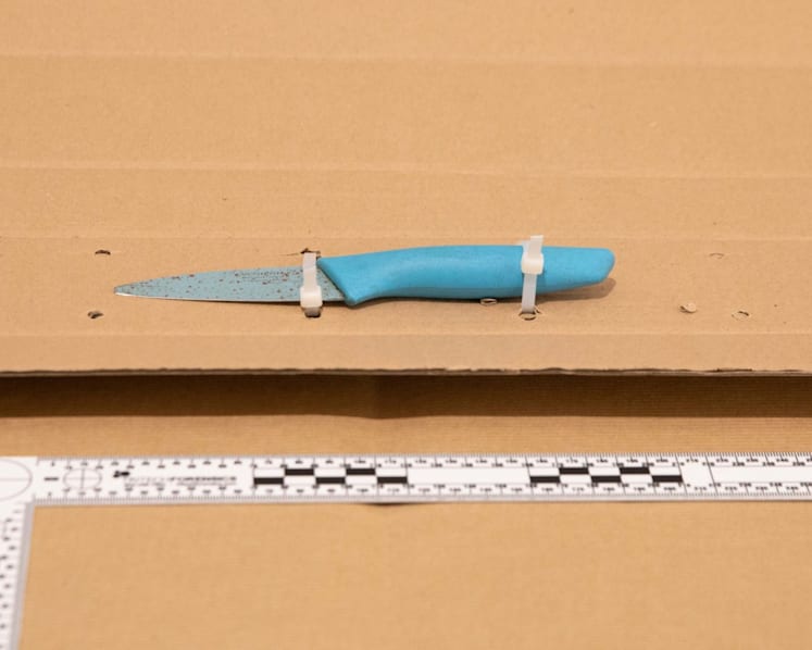 Yishun knife incident: Alleged attacker known to neighbourhood police, tests positive for drugs