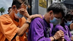 Related article image