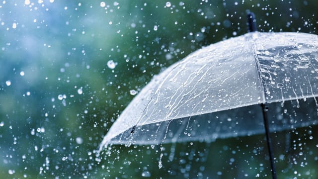 本地未来两周多数天料出现局部短暂雷雨天气