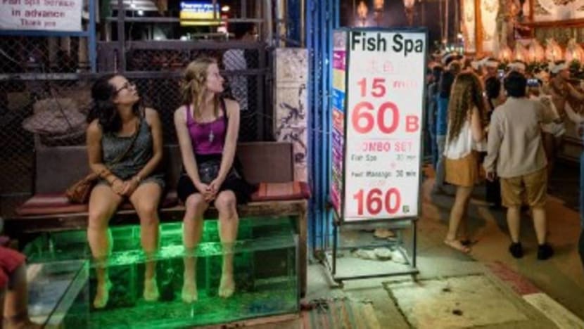 What you need to know about fish spas – and who should avoid them