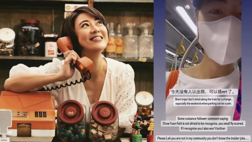 cynthia-koh-netizen-picture