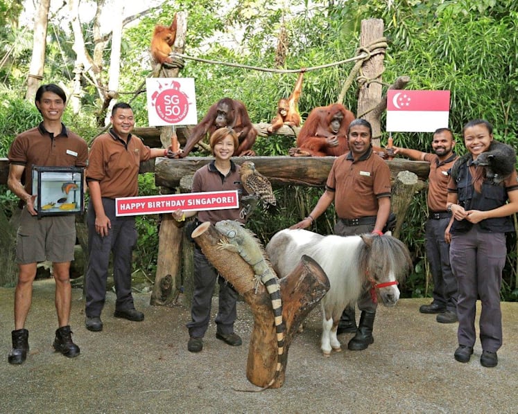 Special SG50 performances at Jurong Bird Park and Singapore Zoo
