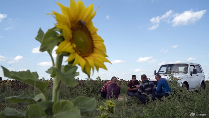 Front line farming: Bombs disrupt critical Ukraine industry Front line farming: Bombs disrupt critical Ukraine industry