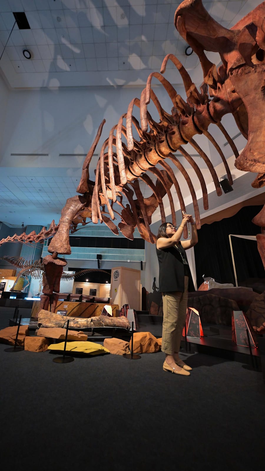 Science Centre Singapore's largest dinosaur exhibit