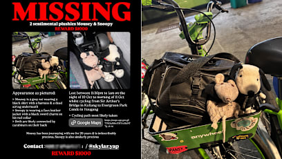 S'pore Woman Offers S$1K Reward For 2 Lost Plushies, Including One She's Had For 20 Years