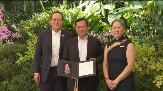 新柬两国探讨在再生能源和碳信用额等新兴领域深化合作