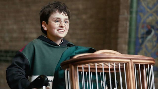 “Harry Potter”电视剧预告片曝光，圣诞节就要开播！