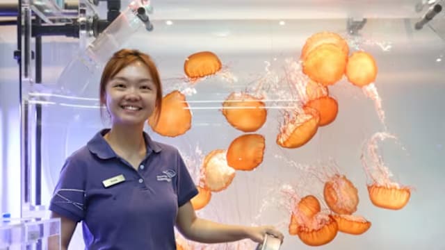 因热爱放弃稳定高薪工作 投身海洋生物护理事业