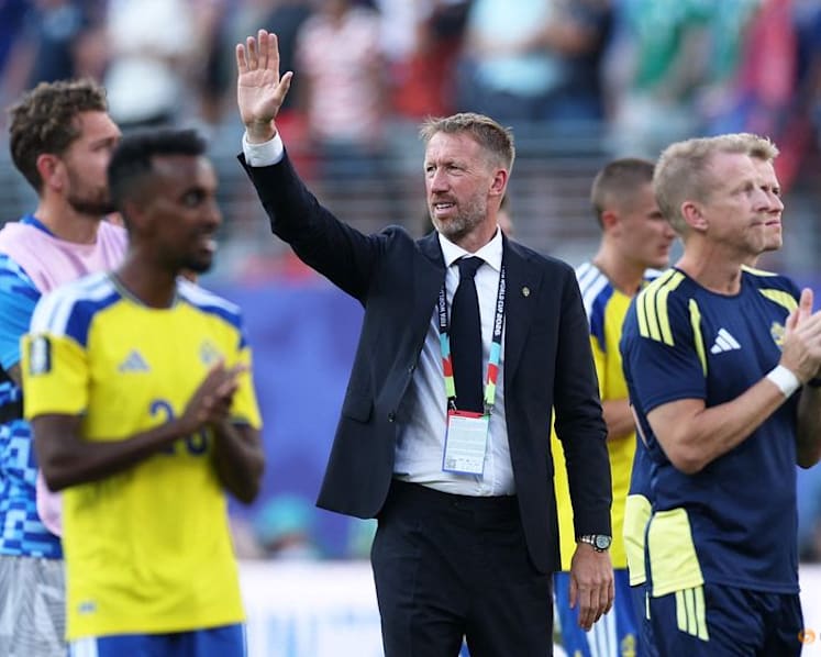 Even 'perfect' may not have toppled France, says Sweden coach Potter