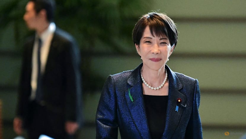 Japan offers US$10 billion support to help Asian neighbours secure oil