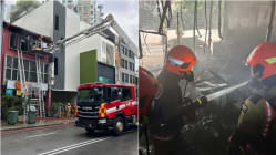 Related article image