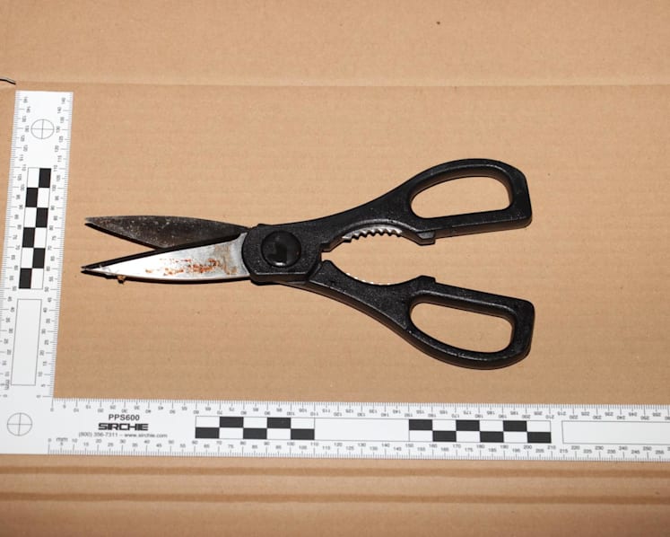 Man arrested over alleged attack in Serangoon involving pair of scissors