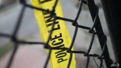 Related article image