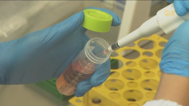 国大研究以人脑细胞取代芯片 打造生物数据中心样板