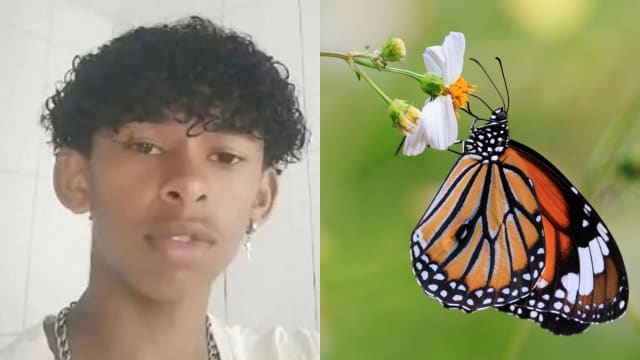 “蝴蝶尸水”注入体内 巴西少年呕吐瘸腿休克惨死