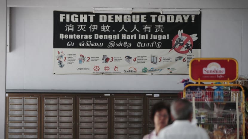 22 new dengue clusters emerge across Singapore over two days