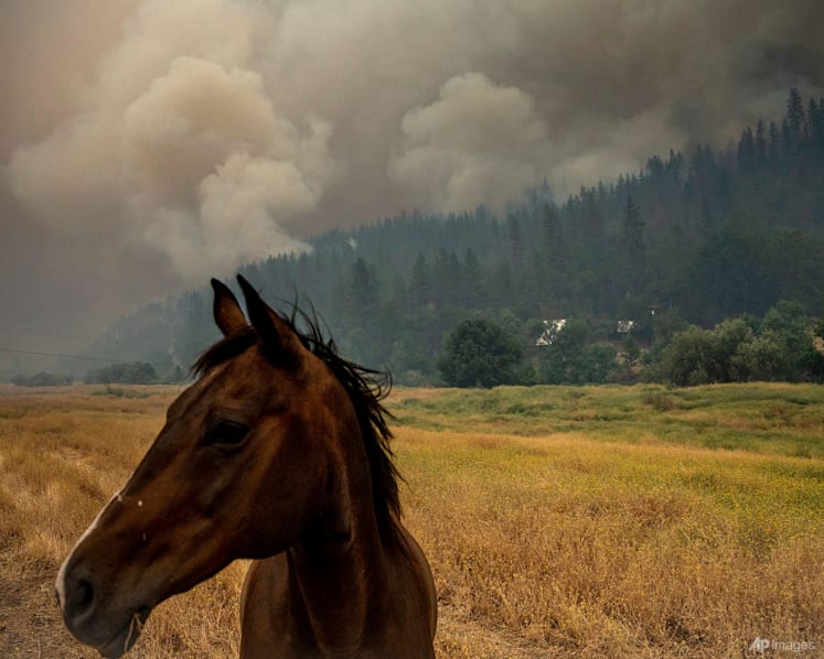 Heat, wind threaten to whip up growing western US wildfires