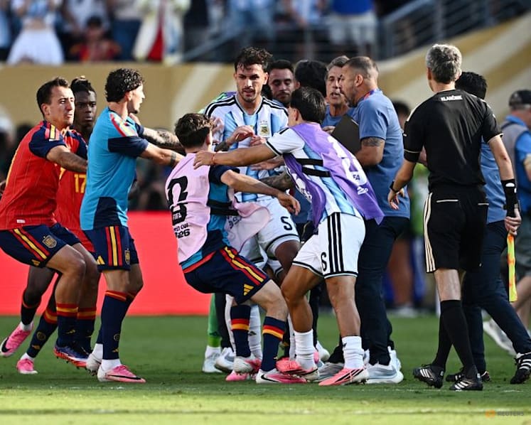 FIFA to investigate World Cup final post-match brawl