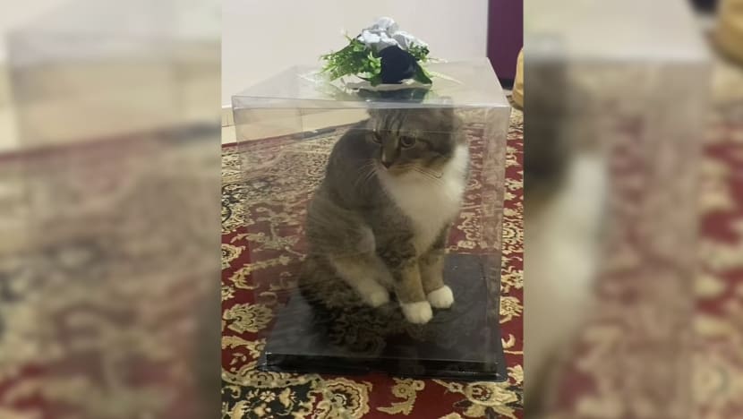 Gambar Pilihan Hari Ini Gambar Pilihan Hari Ini