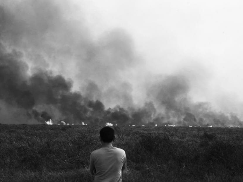 Deforestation and haze pollution in Indonesia are by-products of rapid agricultural and forestry expansion, driven by demand for commodities. Photo: Reuters