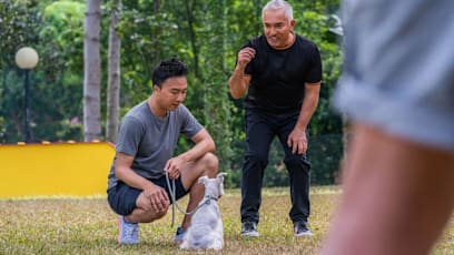 Is Your Dog Misbehaving? It’s Not The Dog, It’s You, Says Cesar Millan 