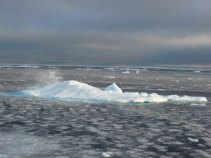 Marine heatwaves are accelerating the melt-off of glaciers and ice sheets driving sea level rise.