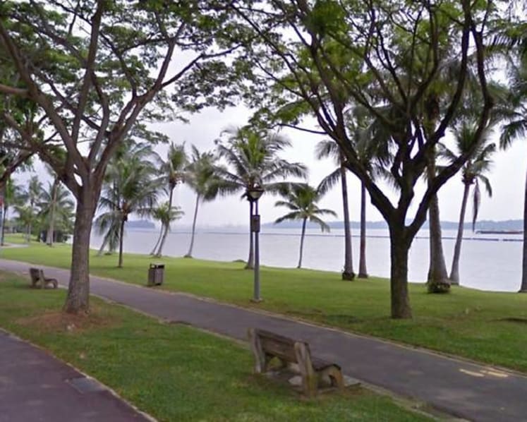 Man investigated for public nuisance, intent to wound racial feelings over Pasir Ris Beach Park incident