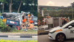 Related article image