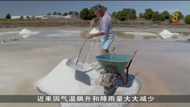 法国极端天气促成盐产量翻倍激增 
