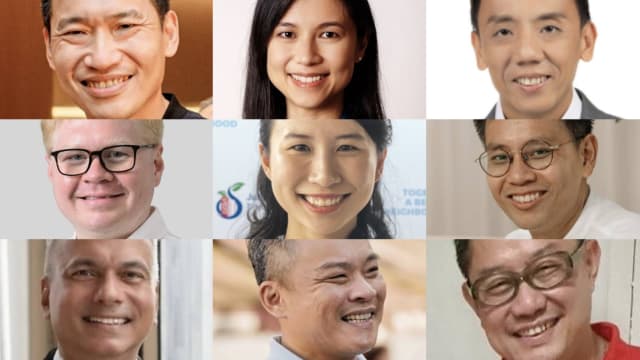 各政党各选区新人辈出 他们可能竞逐哪些选区？