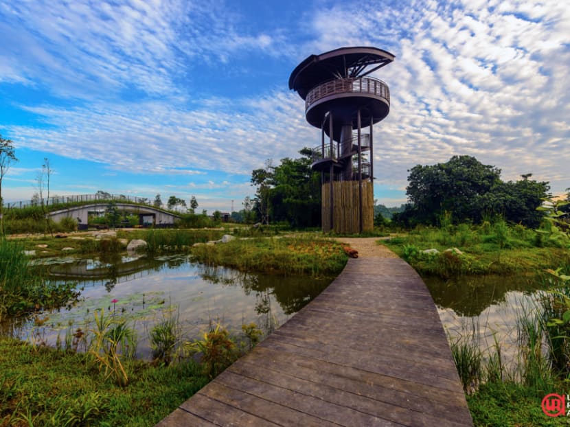 Rich biodiversity on offer as Kranji Marshes open Rich biodiversity on offer as Kranji Marshes open