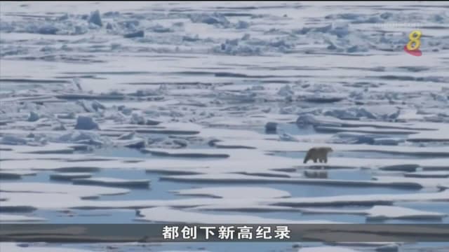 联合国：全球四个关键气候变化指标2021年创新高