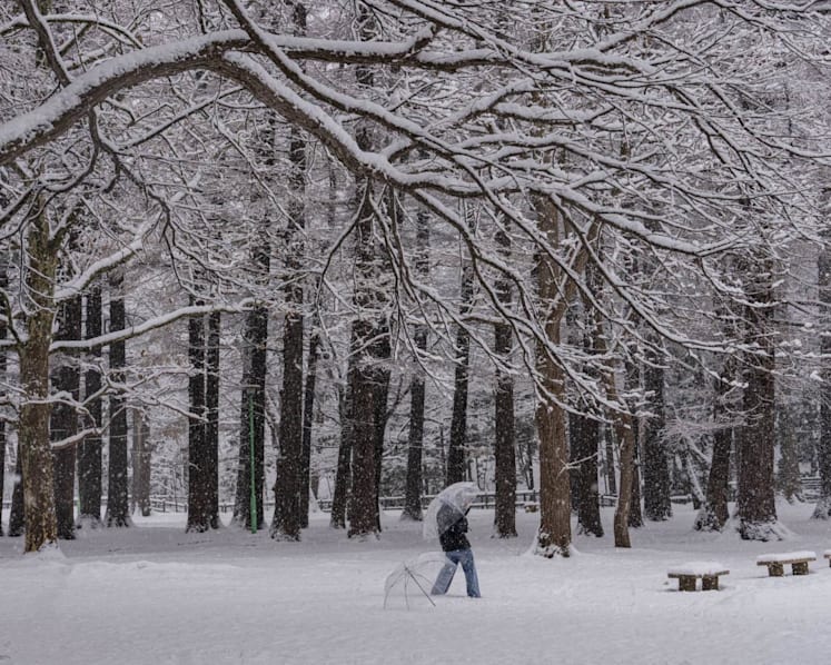 Sapporo travel guide: Where to eat, drink and explore in Japan’s northern city