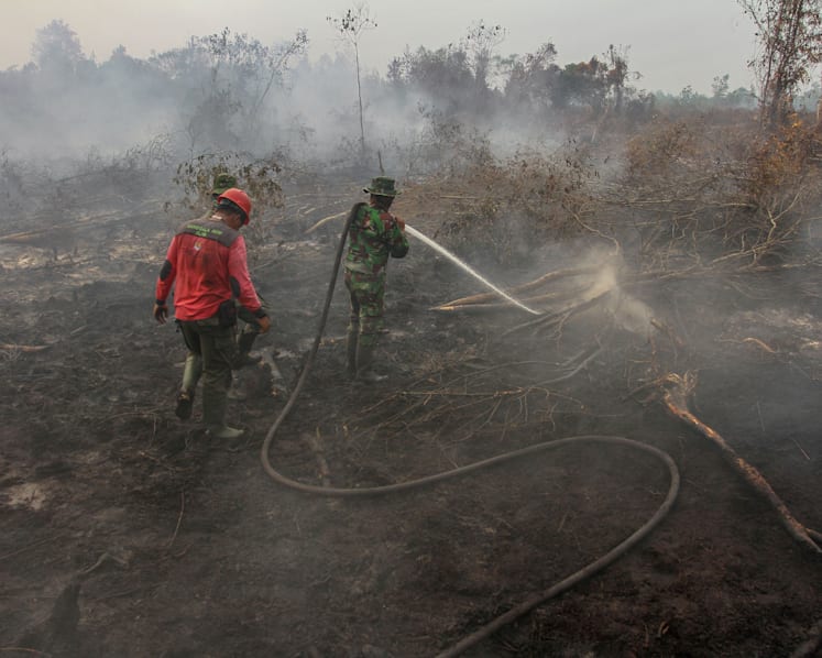 Here’s an economic theory to curb haze-causing forest fires in Indonesia