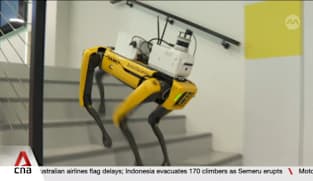 New IMDA initiative to help 500 firms adopt autonomous robots in next three years