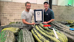 Related article image