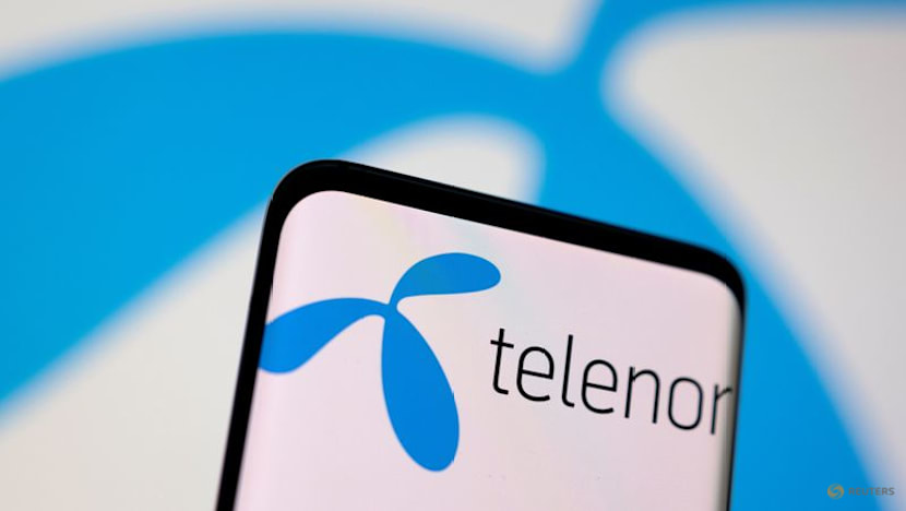 Telenor targets low-to-mid single-digit growth in Nordic core earnings until 2030