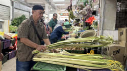 Related article image