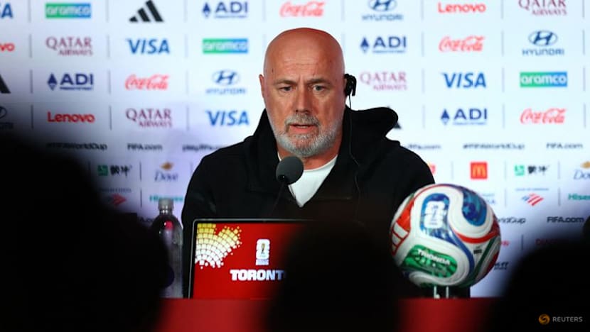 Bosnia will play with hearts in World Cup opener, says coach Barbarez
