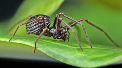 Related article image