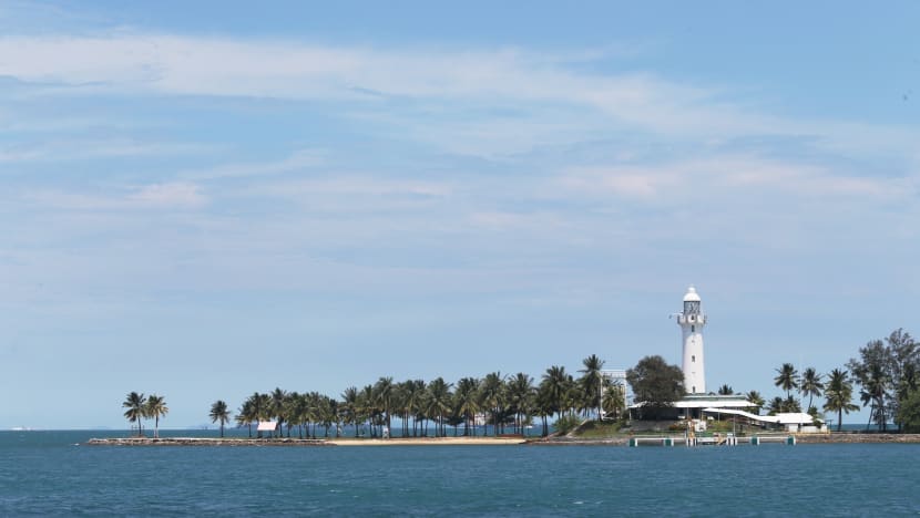Fish farms may be set up near 3 southern islands with high coral diversity, endangered marine life; public feedback underway
