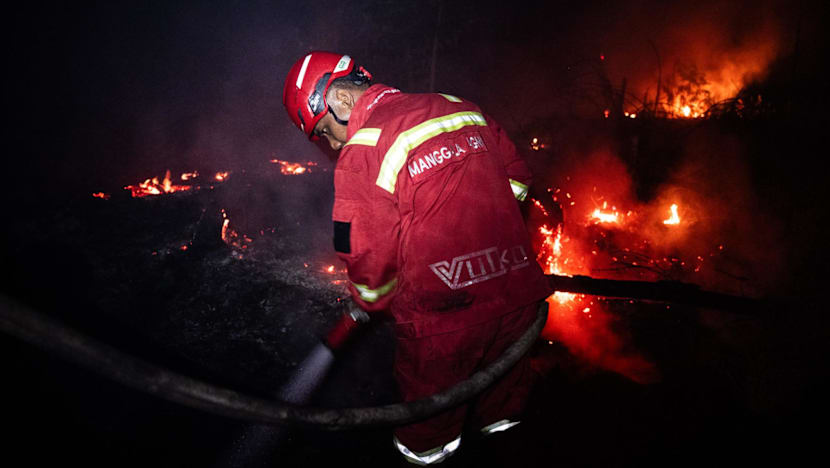 Indonesia to assess foreign firefighting aid offers, hopes to extinguish blazes within a month